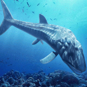 Leedsichthys Simulator Apk