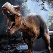 Tyrannosaurus Simulator Apk