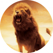 Lion Wallpaper Apk