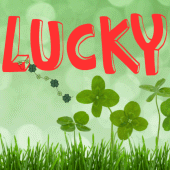 Lucky Wallpaper Apk