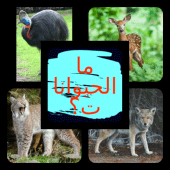 ما الحيوانات؟ Apk