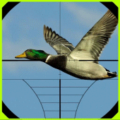 Duck Hunter Game Apk