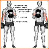 body muscle training Apk