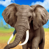 Talking Elephant Apk