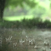 Real Rain Live Wallpaper Apk