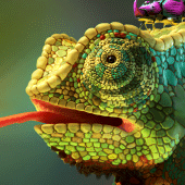 chameleon wallpaper Apk