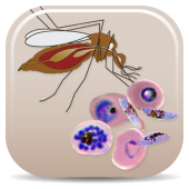 Malaria Vectors Apk