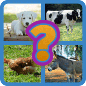 Guess The Animal Apk