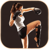 Kickboxing SbS Apk