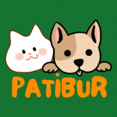 PATİBUR Apk