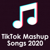 Tik Tok Mashup Songs 2020 Apk