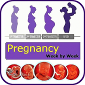 Pregnancy Stages Week by Week Guide Apk