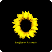 Sunflower Aesthetic Wallpaper - Free Apk