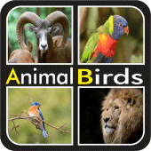 Birds Animal Quiz - Guess the Birds Animal Game Apk