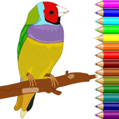 Coloring Bird Pony Little Apk