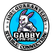 Gabby VPN Pro Apk