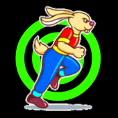 Run Rabbit Race 3D Apk