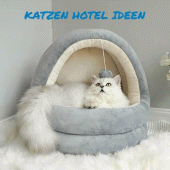 Katzen Hotel Ideen Apk