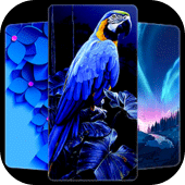 Blue Panorama Wallpaper Apk