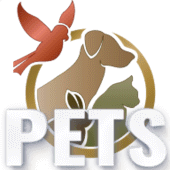 PETS BİLGİ YARIŞMASI Apk