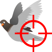 Bird's Shoot Apk