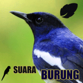 Koleksi Suara Burung Apk