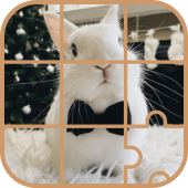 Bunny Puzzle -Kid Puzzle Apk