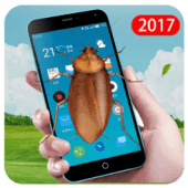 Insect Screen Prank Apk