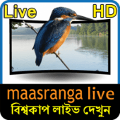 Maasranga TV Live HD Apk