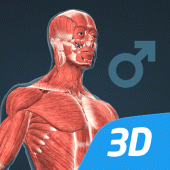 Human body (male) 3D scene Apk