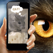 Vision pets simulator Apk