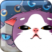 Merge Cat (Suika Cat) Apk