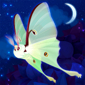 Flutter: Starlight Apk