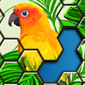 Jigsaw Puzzles Hexa Apk