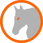 Steed Browser: That can make the life incredible. Apk