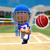 Play Cricket Games Together Apk