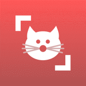 Cat Scanner: Breed Recognition Apk