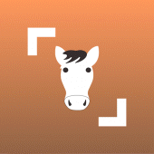 Horse Scanner Apk