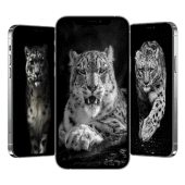 Snow Leopard Wallpaper Apk