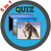 Word Games: guessing games Apk