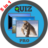 Word Games: guessing games Pro Apk