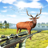 Forest Animal Hunting Games Apk