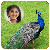 Peacock Photo Frames HD Apk