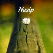 Nasip Sözleri Apk