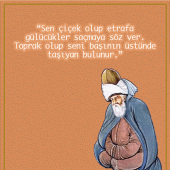 Mevlana Sözleri Apk