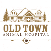 Old Town AH Apk