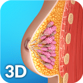 Breast Anatomy Apk