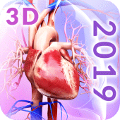 Circulatory System Anatomy Apk