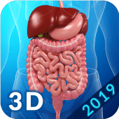 Digestive System Apk