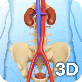 My Urinary System Apk